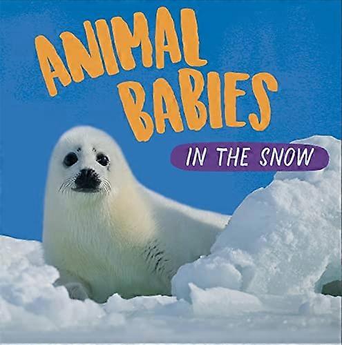 Tierbabys im Schnee