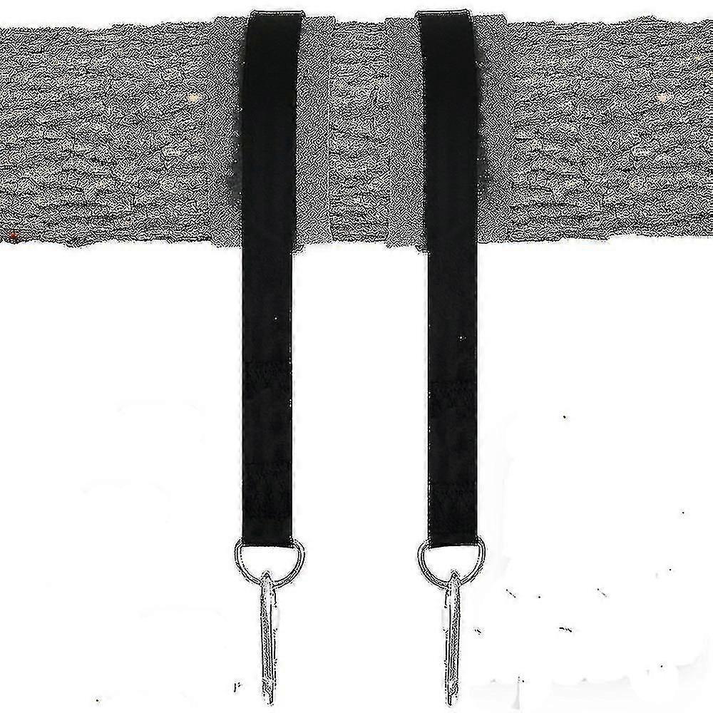 Tree Swing Straps Hanging Kit With Two Zinc Alloy Carabiners
