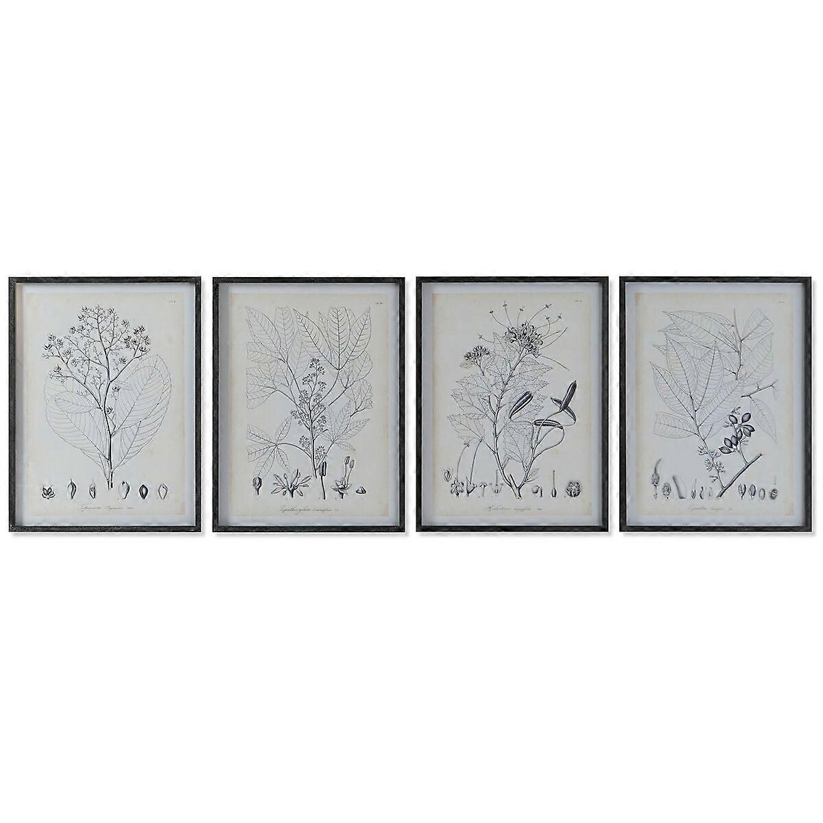 Picture DKD Home Decor Modern Botanical Plants 45 x 2.5 x 60 cm (4 pieces)