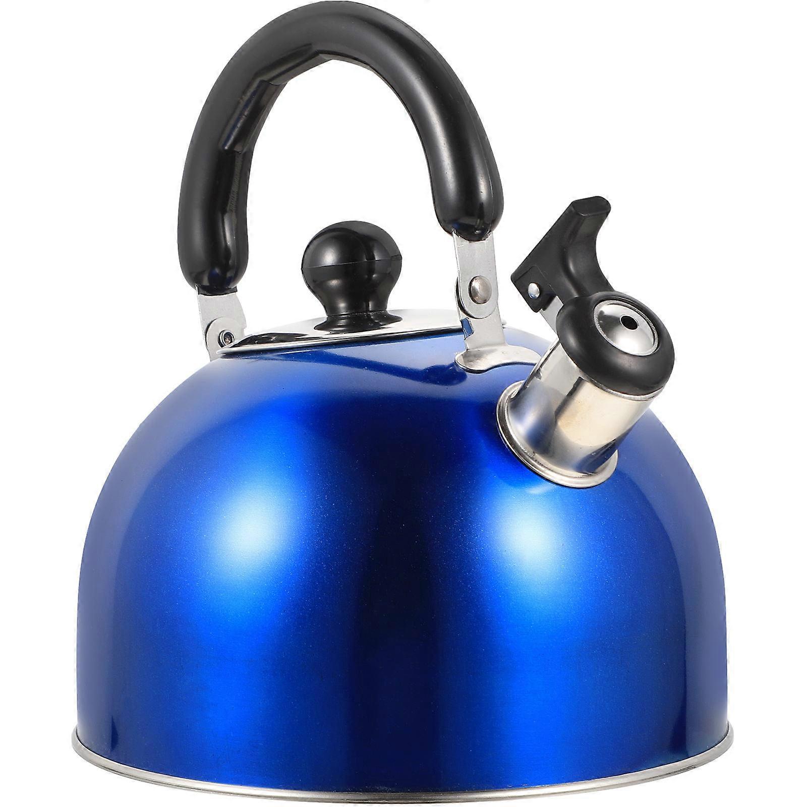 Whistling Kettle Stainless Steel Tea Kettle For Home Cooking Ergonomic Design 1Set