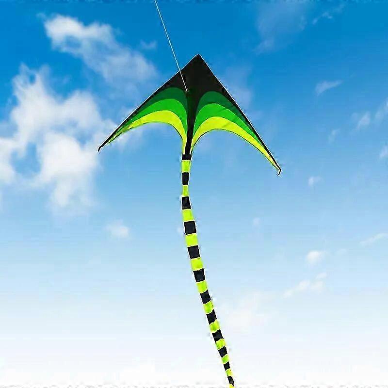 TroveMart YongJian Large Delta Kite for Kids & Adults Easy to Fly Large Huge Delta Kite Come with 6m Tail Easy to Fly Kite Outdoor Toy