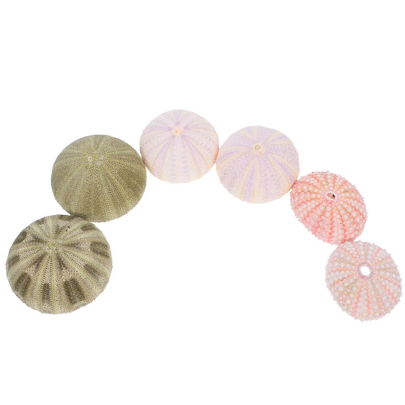Sea Urchin Decors Shell Aquarium Decorations for 24Pcs Set