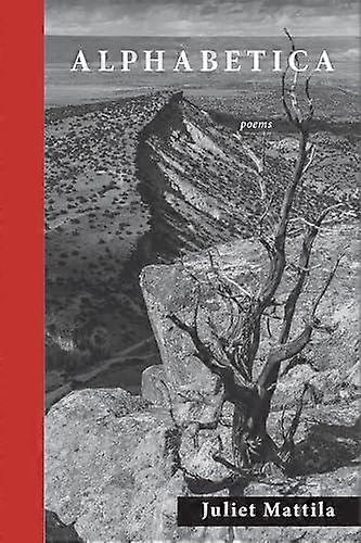 Alphabetica by Juliet Mattila Hardback Book