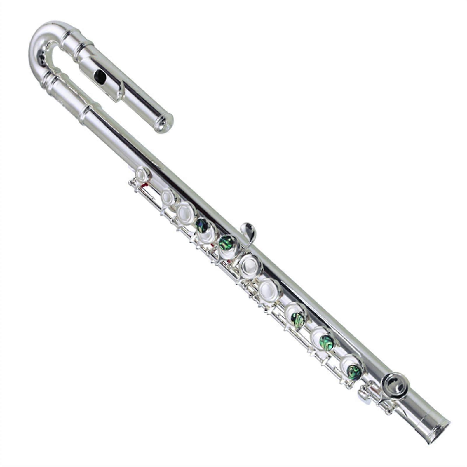 Beginner Closed Hole Flute 16Key White Copper C Key with Case Bright Clear Tone
