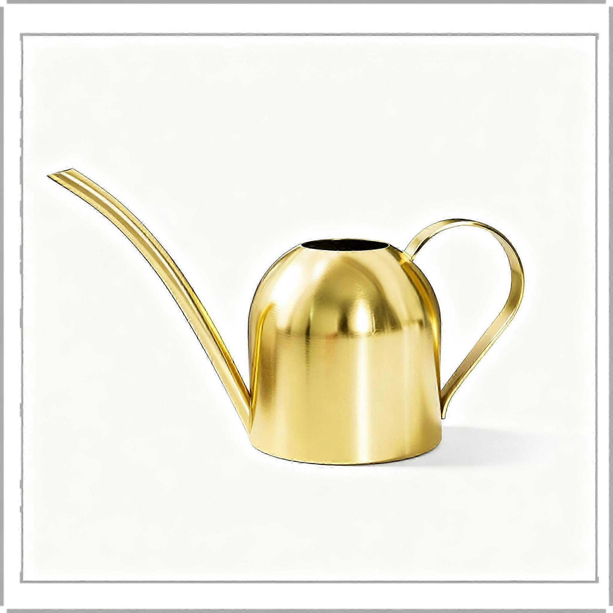 Precision-Tip Stainless Steel Watering Can