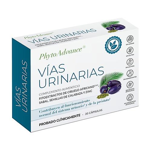 Urinary tract 28 capsules