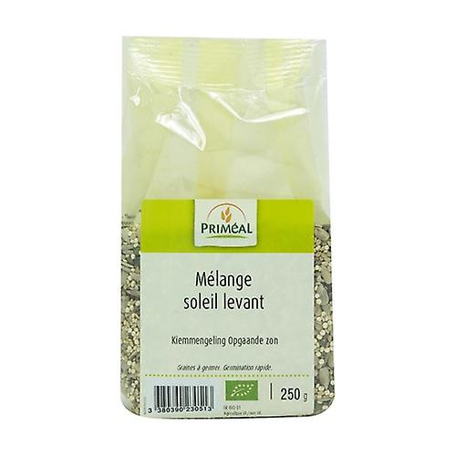 Rising sun mix 250 g