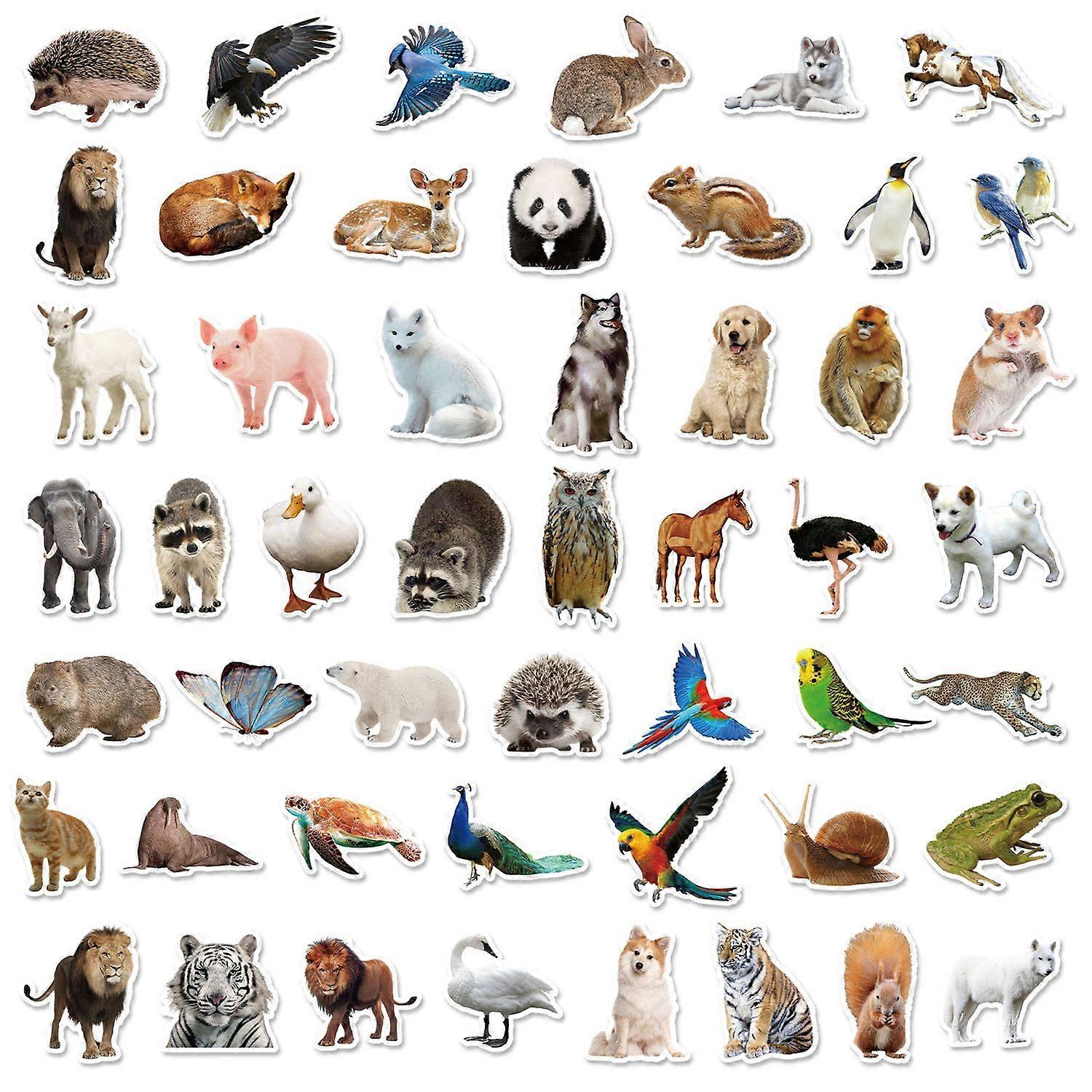 50Pcs Animal Stickers Self Adhesive Waterproof High Viscosity Vivid Color Wide Application