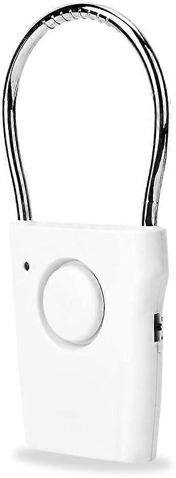 Door & Window Alarm Door