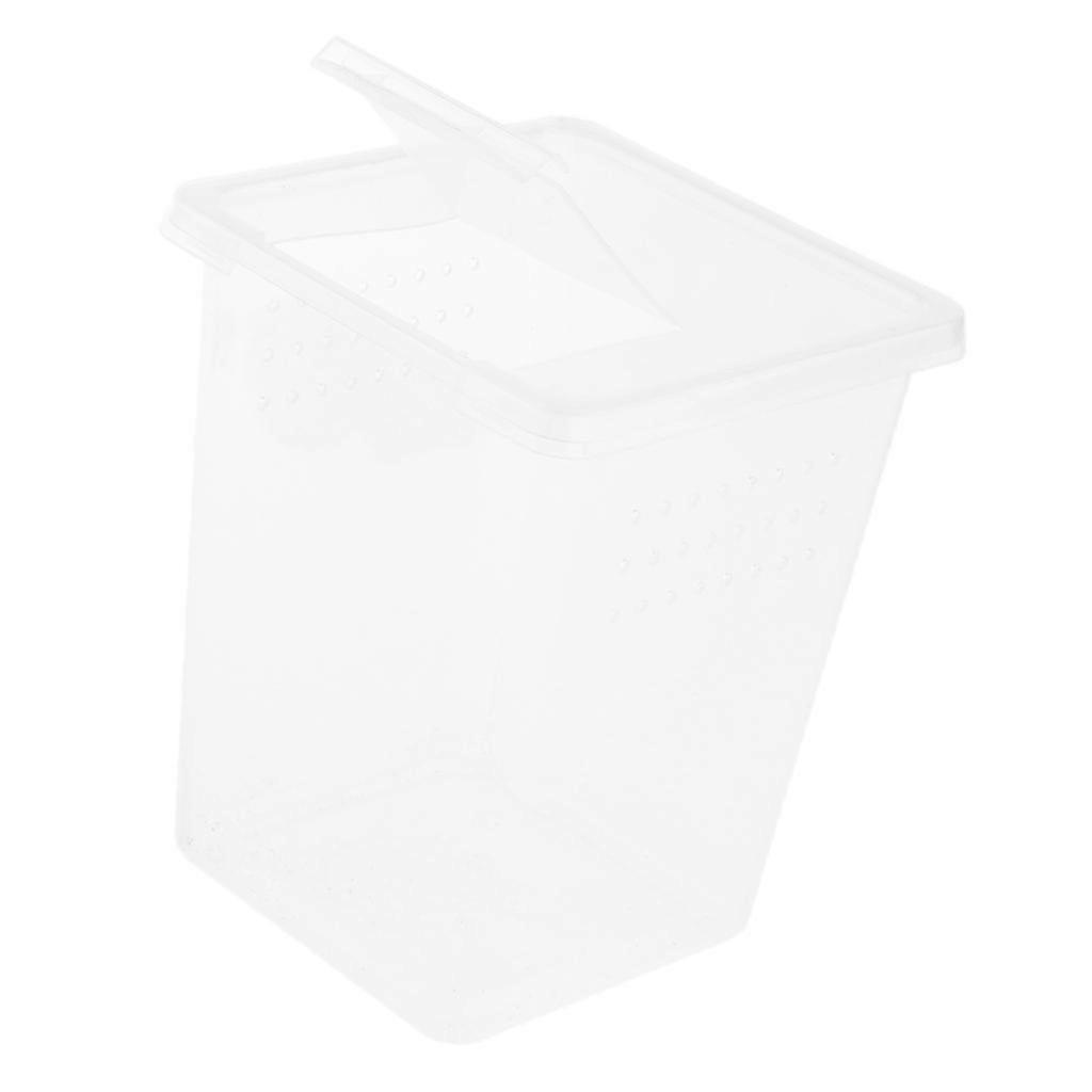 Plastic Insect Lizard Spider Habitat Feeding Box Case Container 8x8x11cm