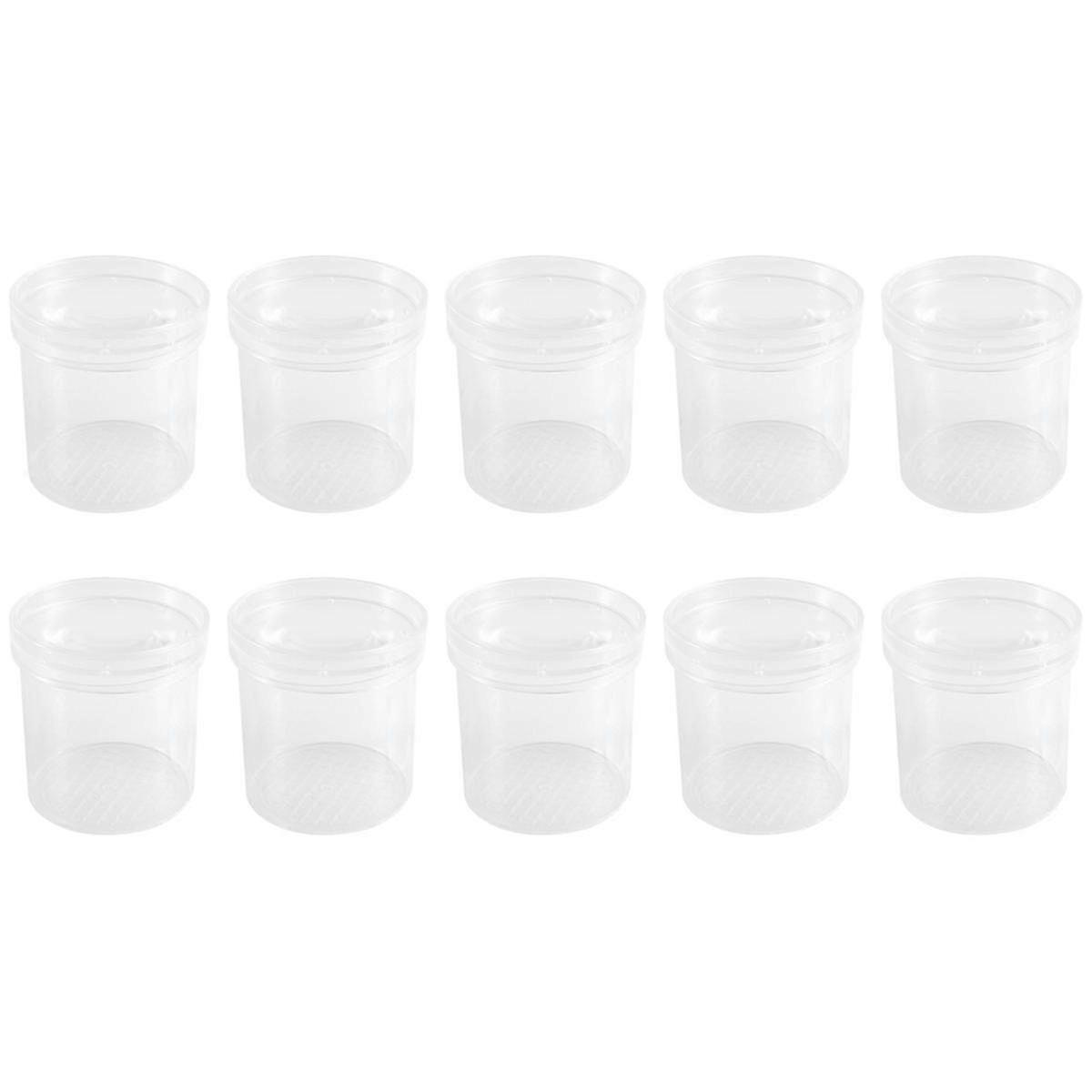 Insect Observation Cup Insect Magnifying Glass Insect Feeding Box Teaching Instrument Natural Obser