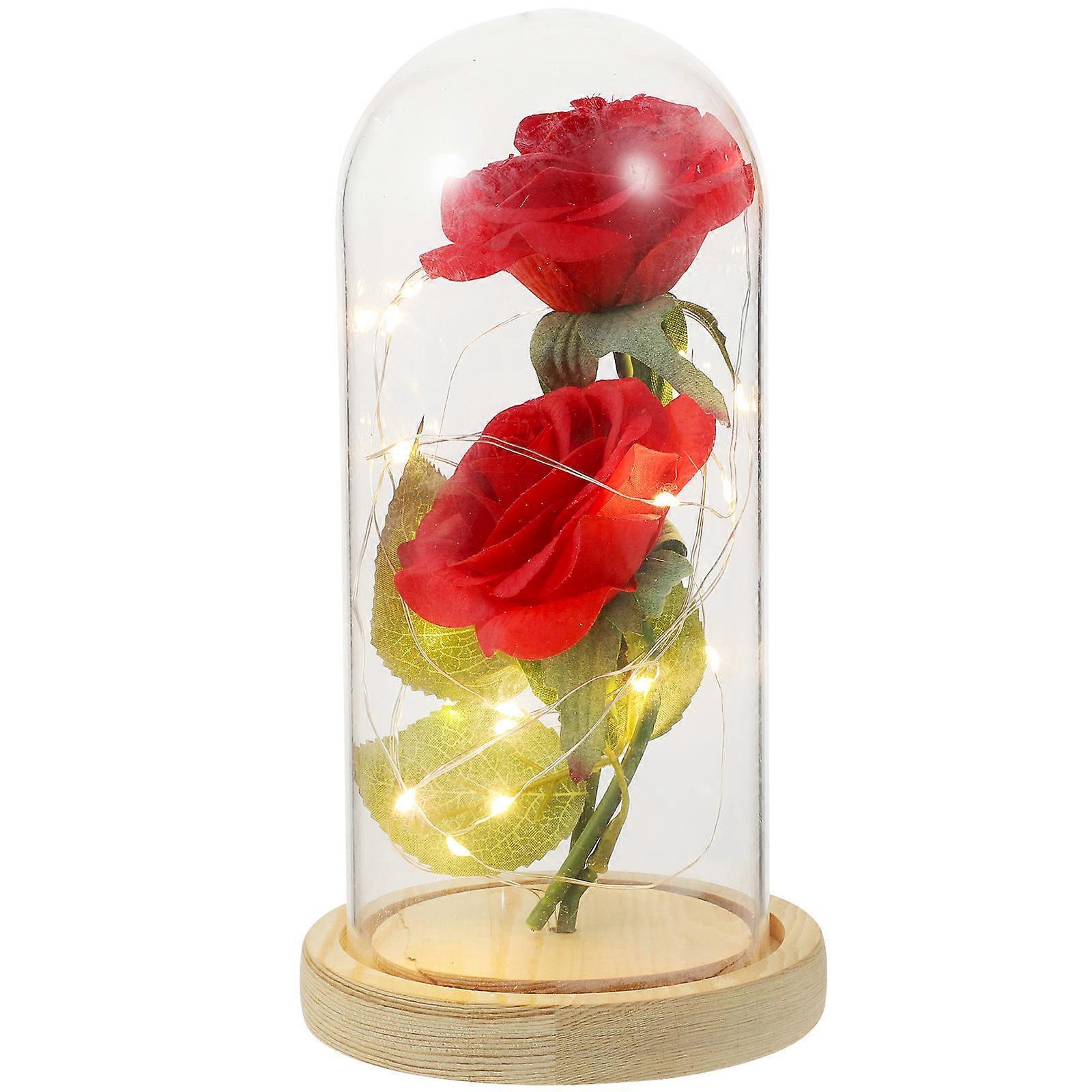 الورود الحقيقية المحفوظة LED سلسلة خفيفة زجاجية قبة حزب نادي ديكور 1 حزمة