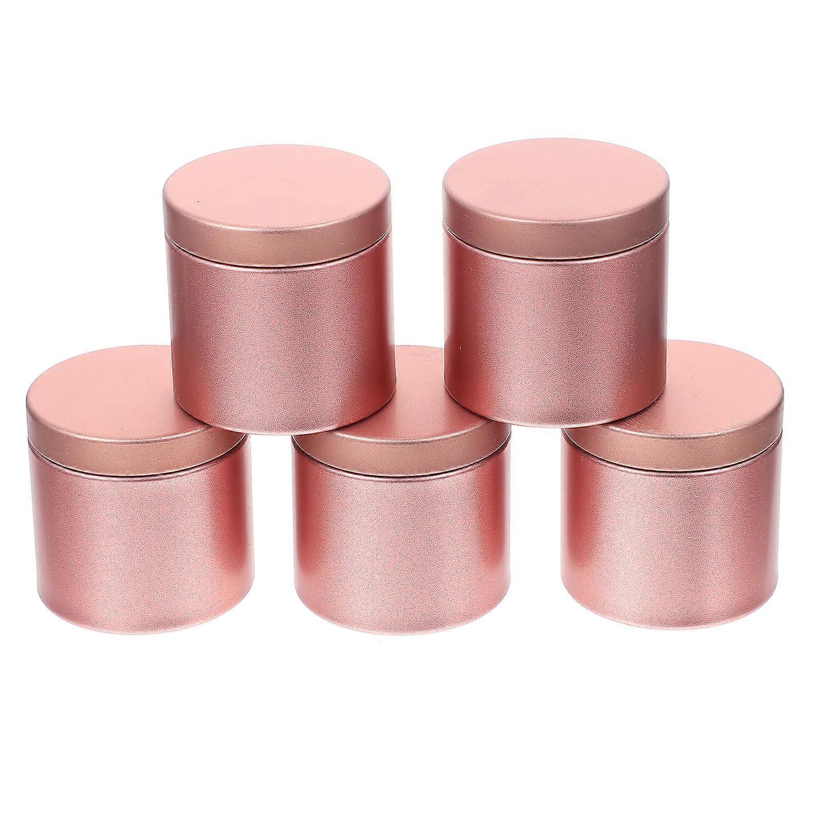 5pcs Airtight Tinplate Canisters for Tea, Candy, Cookies & Jewelry Storage – Portable Small Jars with Bug Design for Home Organization