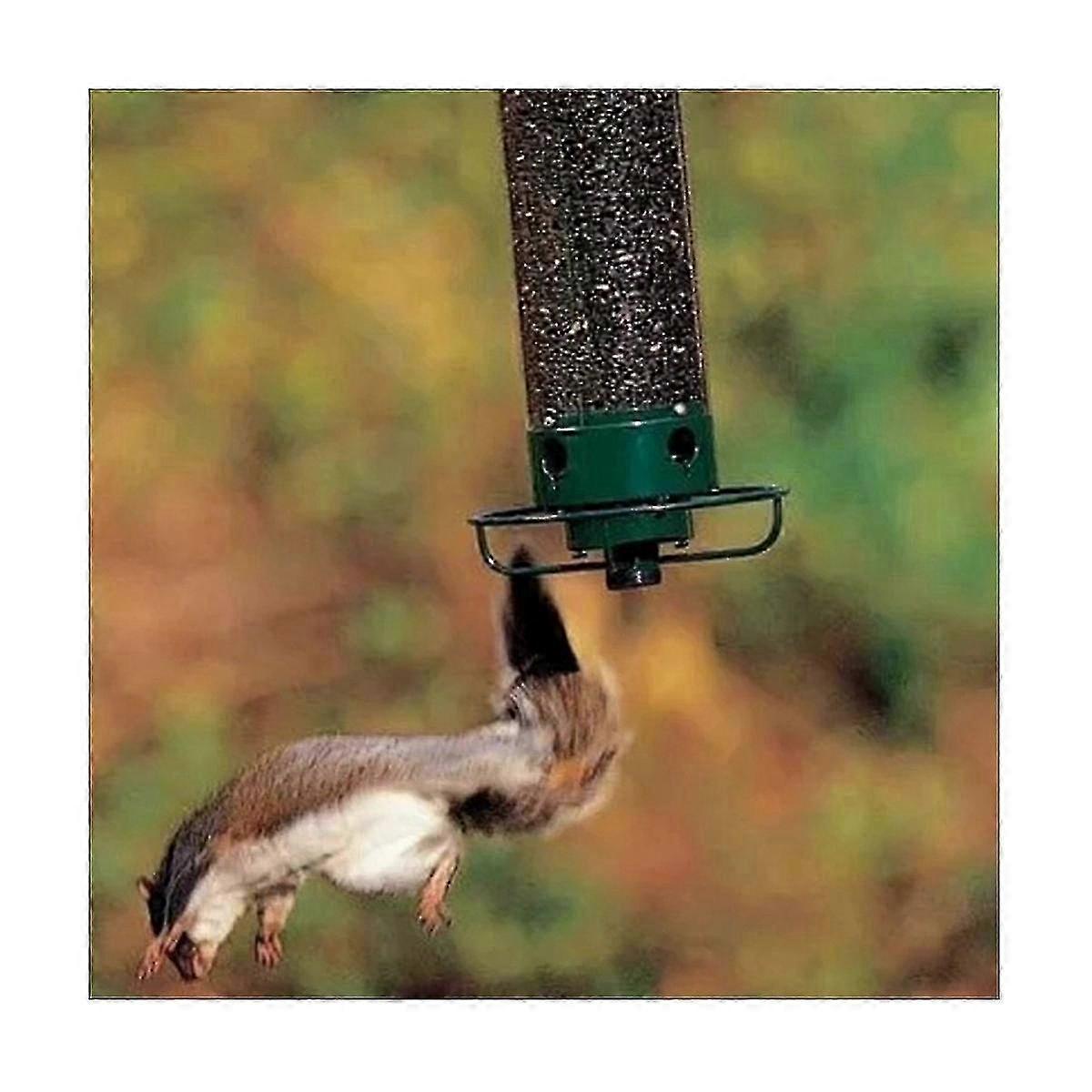 Squirrel-Proof Wild Bird Feeder with Weight Activated Rotating Perch Suitable for Certain Brands