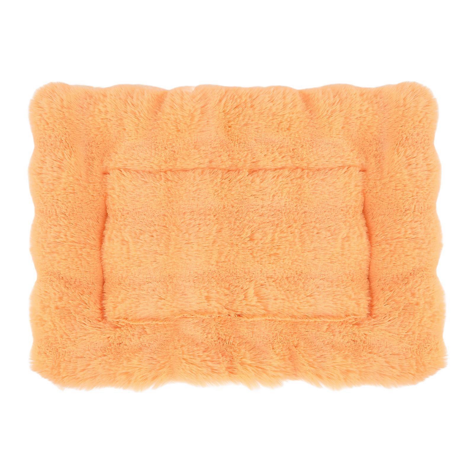 Pet Sleeping Mat Warm Cozy Stylish Look Washable Portable Thickened Plush Cat Dog Bed Pad for Autumn Winter