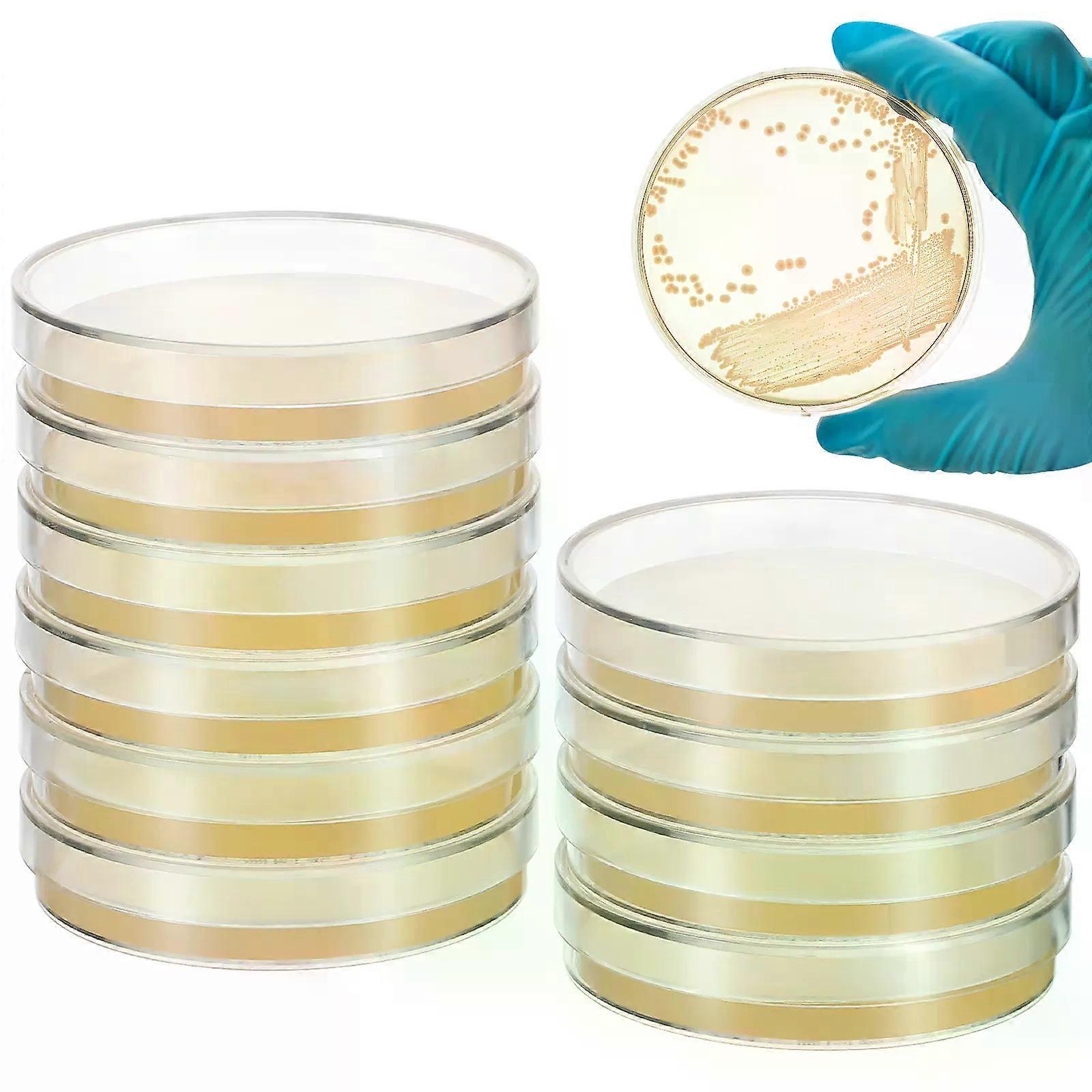 10Pcs Nutrient Agar Plates Petri Dishes 7cm Ready to Use STEM Science Projects Microbiology Science Experiment Supplies