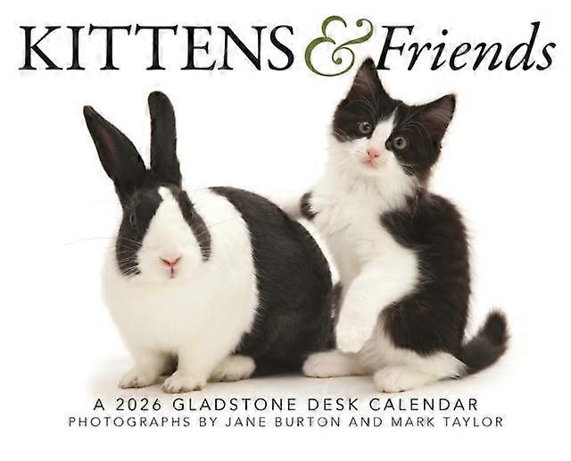 Kittens Friends Box Calendar 2026 by CAROUSEL CALENDARS 2026 Calendar Book