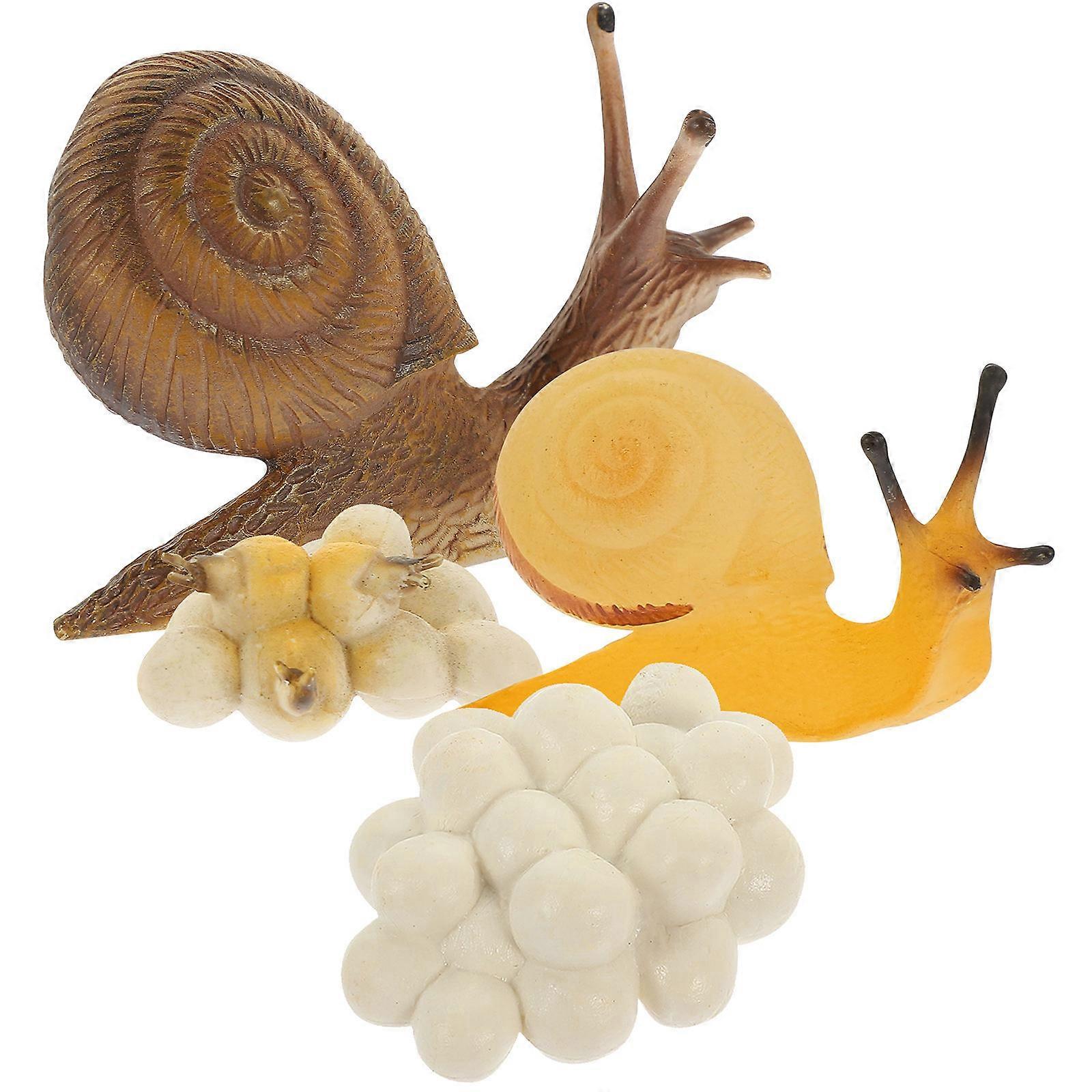 Snail Growing Cycle Toys Cartoon Snail Models Simulation Playthings 2Sets