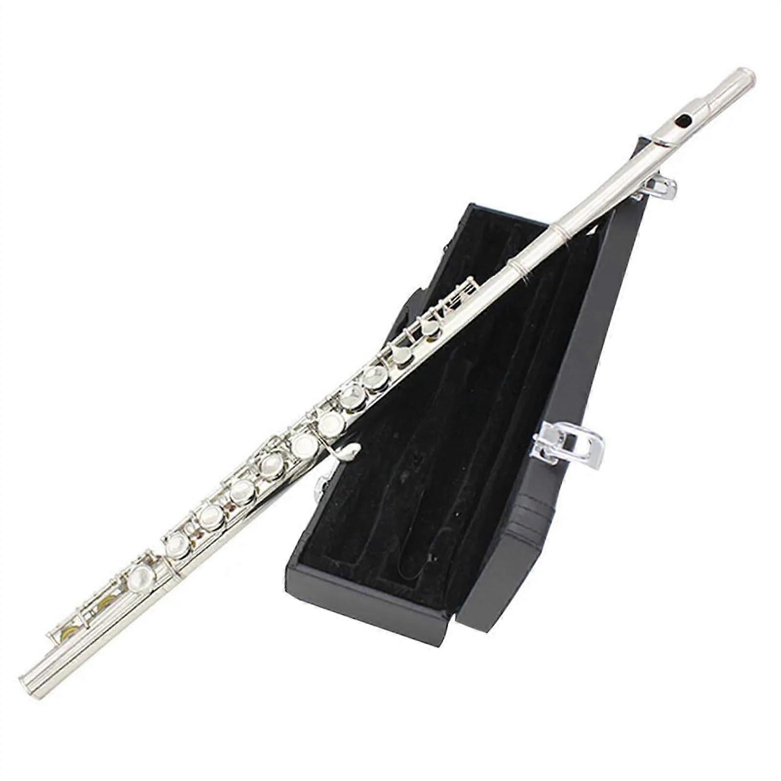 Silver Plated C Flute with E Key 16 Holes for Students Beginners, Bright Tone, Case and Kit