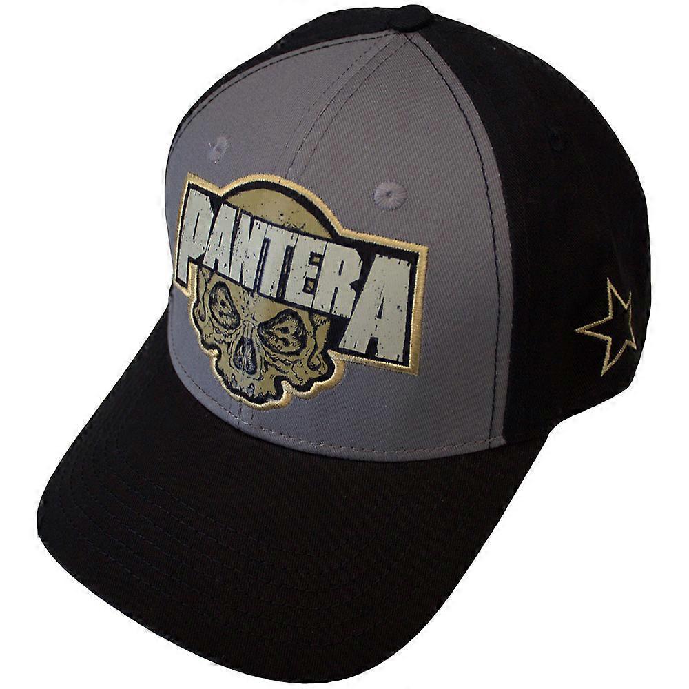 Pantera Skull Band Logo Trucker Baseball Cap