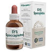 Sys Spaccapietra 50 ml