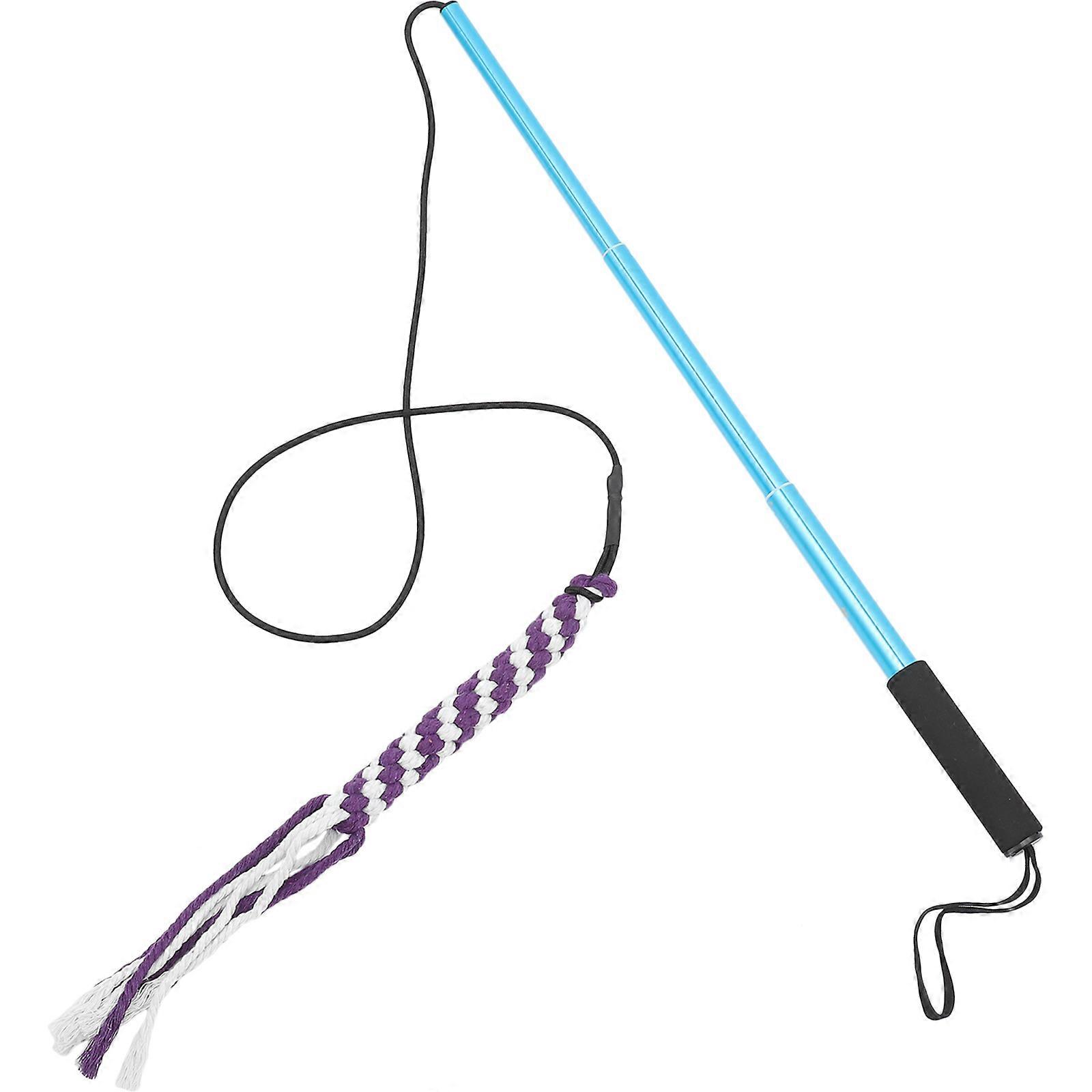Extendable Teaser Wand Interactive Toys for 2Pcs Dog Chasing Tail