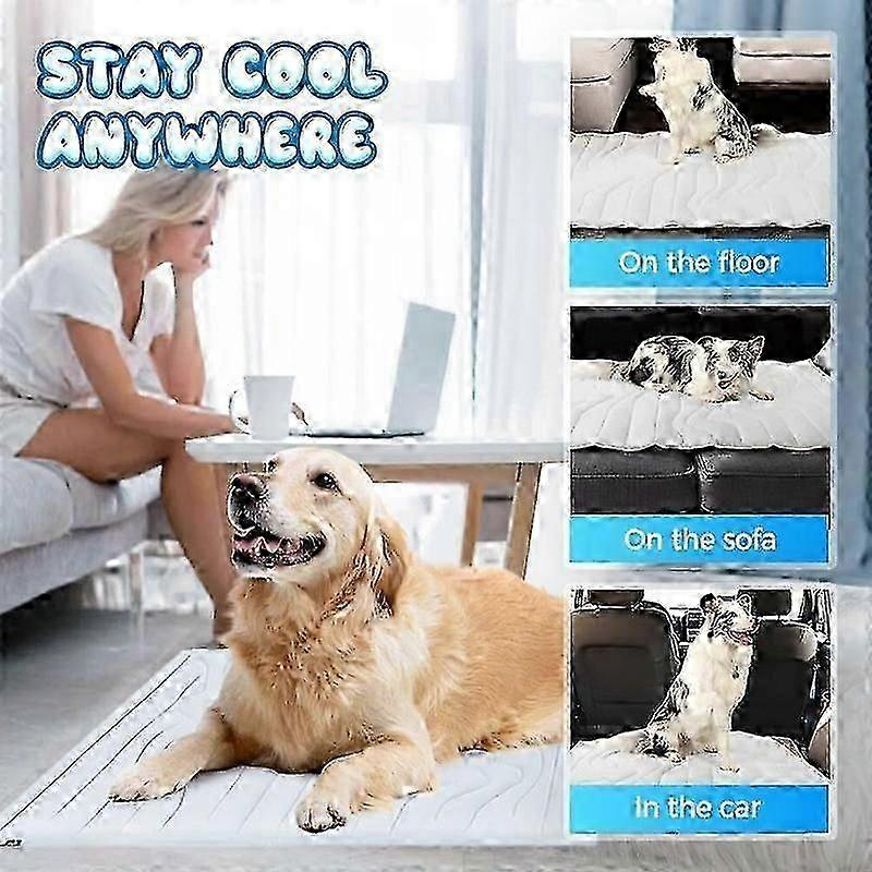 Machine-Washable Double-Sided Pet Cooler