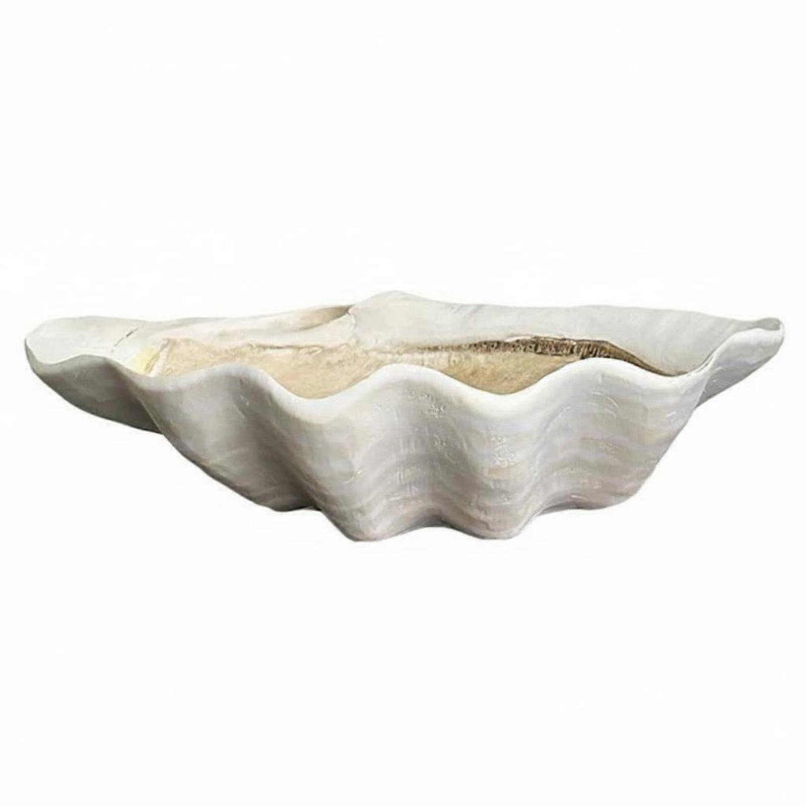 Coastal Shell Tray White Shell Tray Shallow
