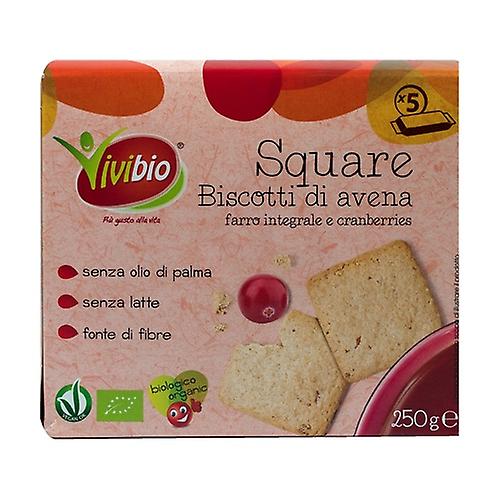 Square - oat and wholemeal spelled cookies and cranberries 250 g