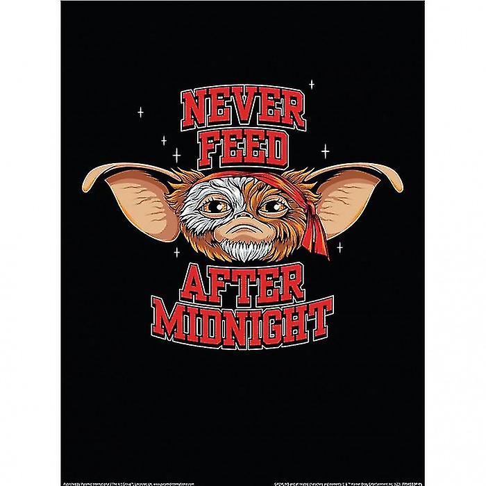 Gremlins Never Feed After Midnight Paper Poster