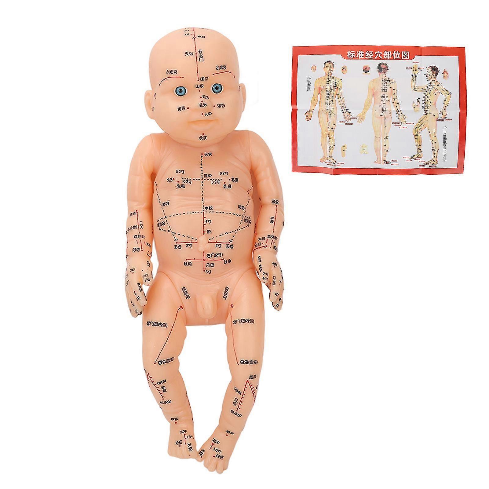 Children Acupuncture Model Pediatric Training Doll Massage Model