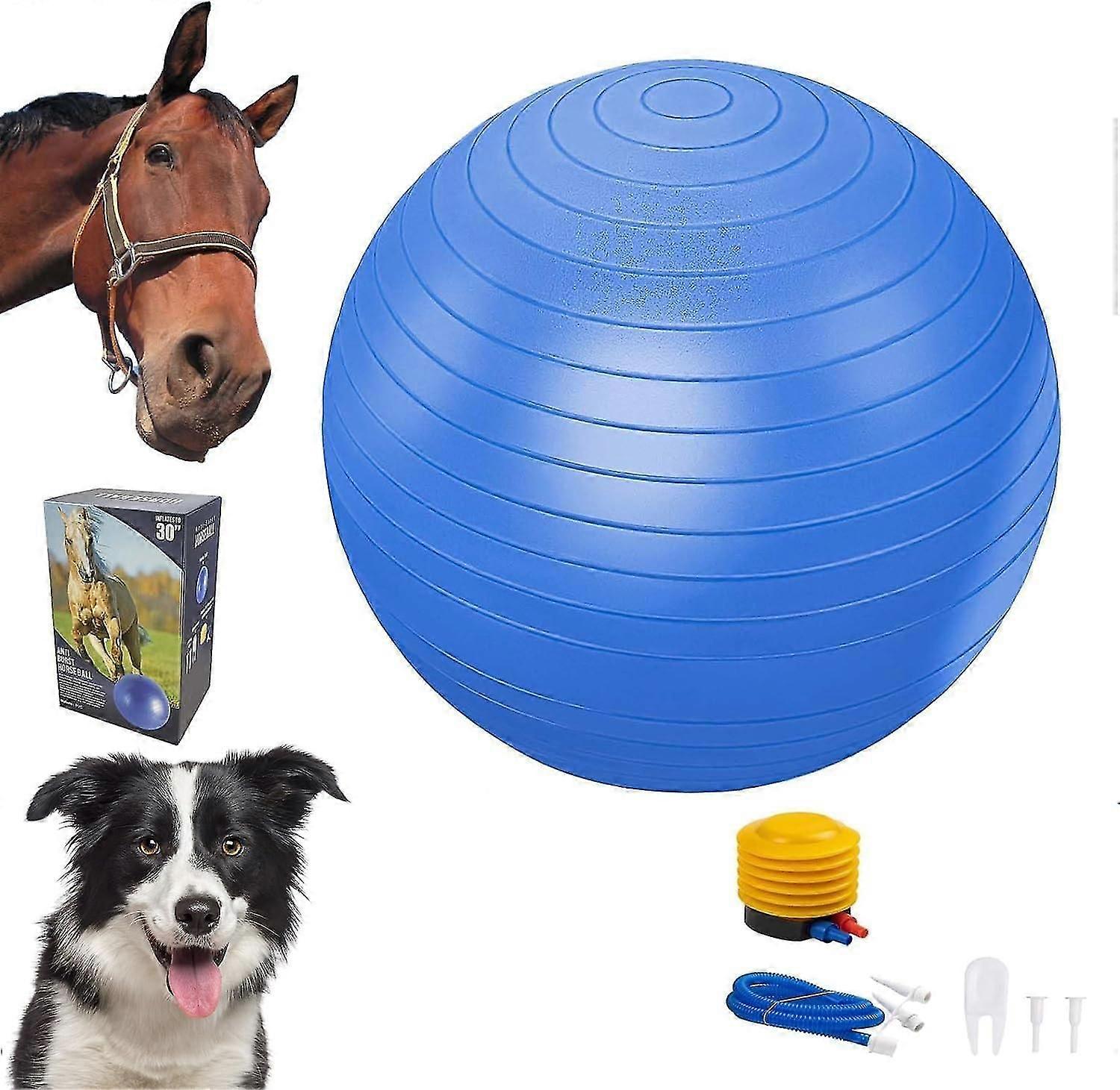 30 » boule de troupeau, jouets de boule de cheval de troupeau pour chevaux, méga boules de chien de troupeau avec pompe à main, boule de troupeau anti-éclatement bleu pour chevaux