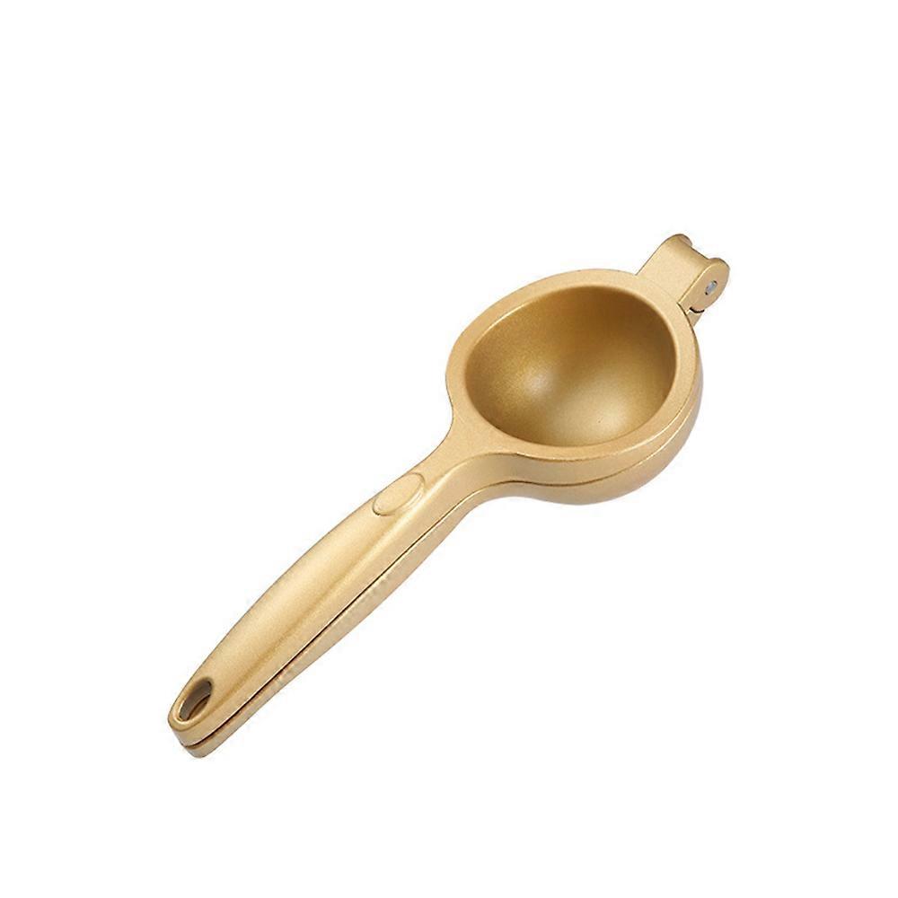 Juice Squeezer for Fresh Fruit Juices