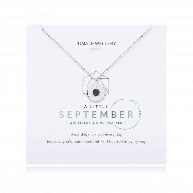 Birthstone a little September Lapis Lazuli Necklace 4662