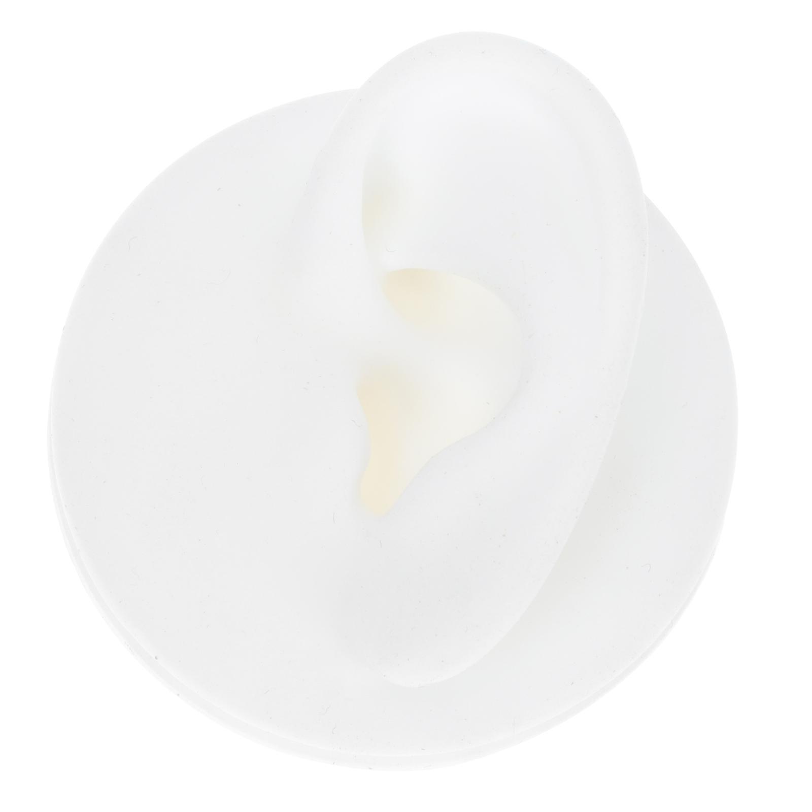 Left Ear Shape Silicone Ear Model Display Prop for Students 1Set