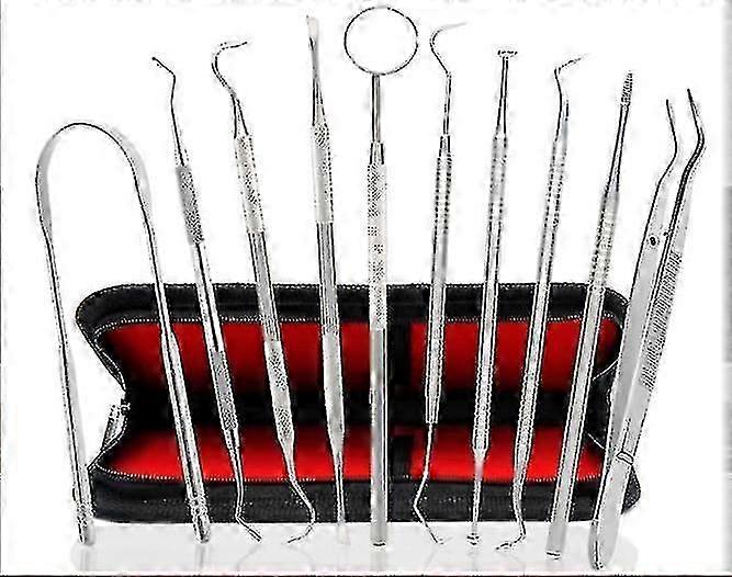 Dental Tools, 10 Pack Professional Plaque Remover Teeth Cleaning Tools Set