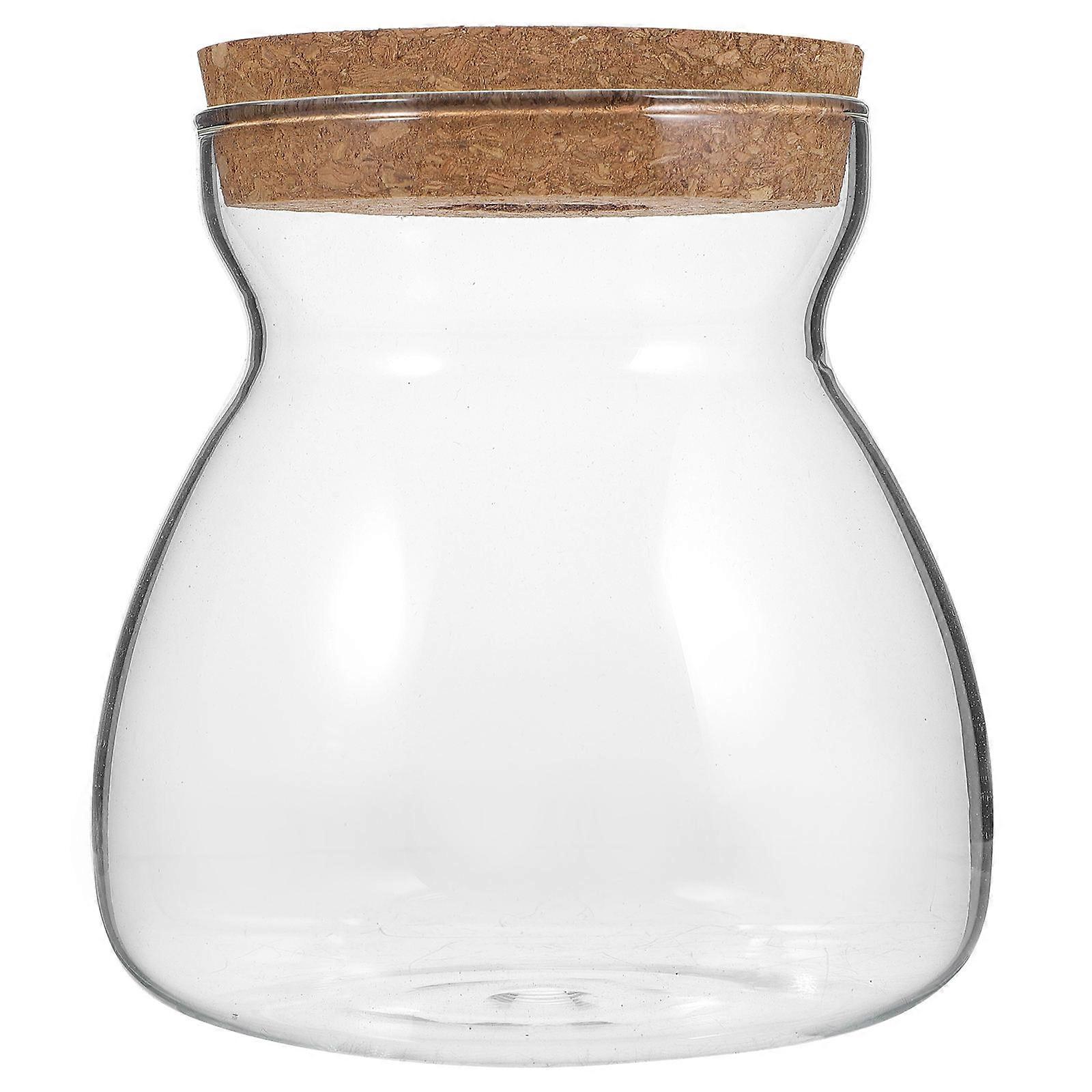 Glass Terrarium Jar for Hydroponic Plants and Ecosystem Container with Lid Hole for Easy Planting