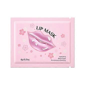 Lipmasker voor de nacht met natuurlijk bloemenextract, diep hydraterende lippenbalsem voor droge, schrale lippen.