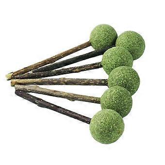 Catnip Lollipops for Cats, 6-Pack Chew Toys for Fun and Care