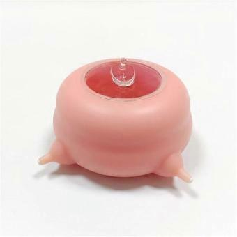 R10 Milk feeder for small animals, puppy, kitten, 200 ml, 4 pacifiers