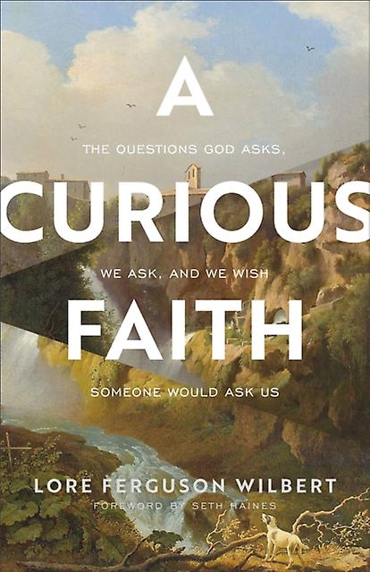 A Curious Faith  The Questions God Asks We Ask And We Wish Someone Would Ask Us by Seth Haines Paperback