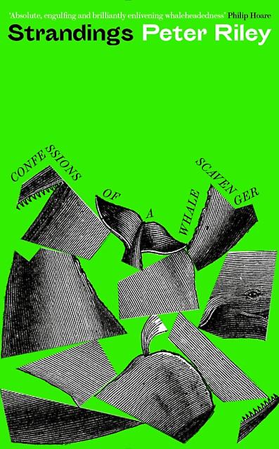 Strandings by Peter Riley Hardback Book