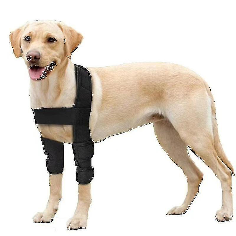 Coderas transpirables para perros, ideales para el soporte de codo y hombro canino, para higromas, displasia y osteoartritis.