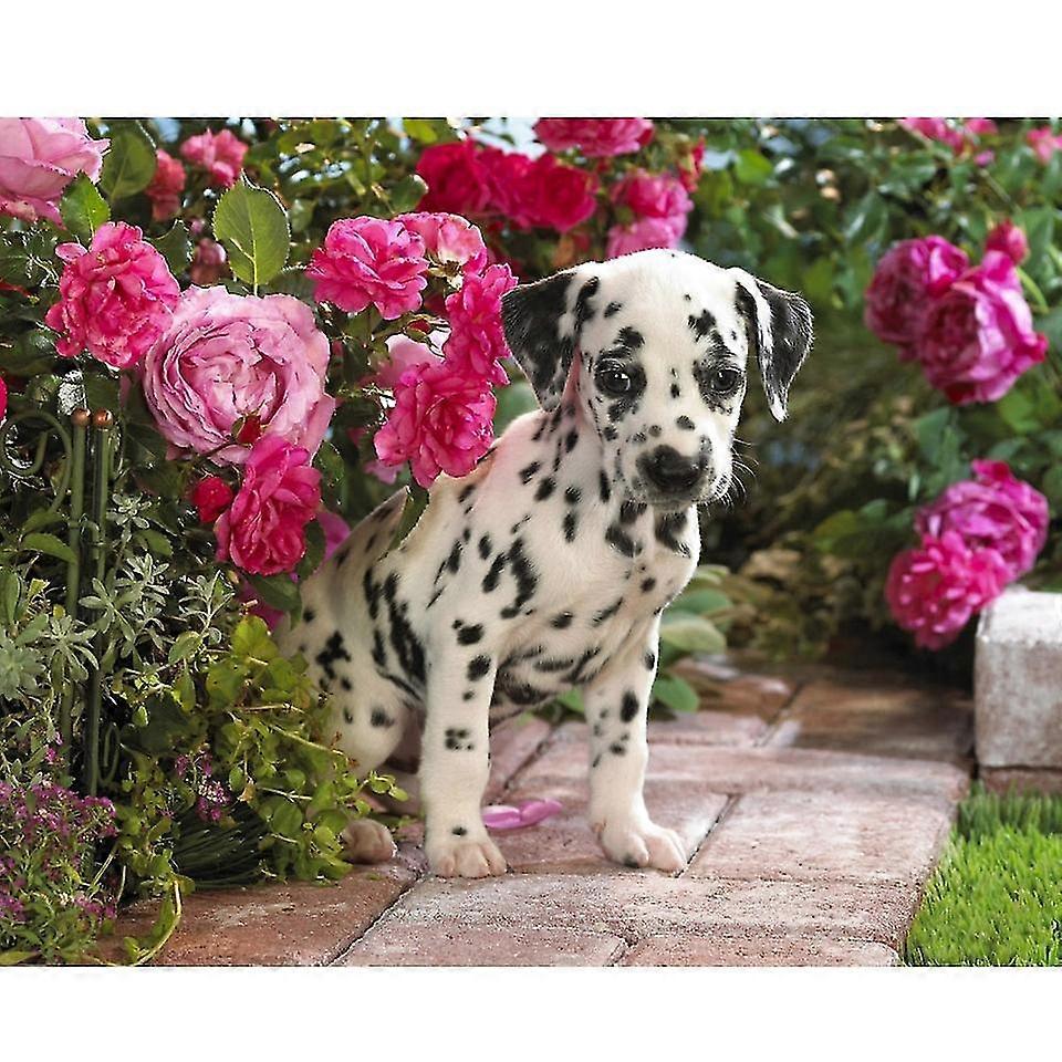 Elmas Boyama Çiçekler Ve Dalmaçyalı İğne İşi Diy Tam Matkap Elmas Nakış Köpek Seti Ev Dekorasyonu