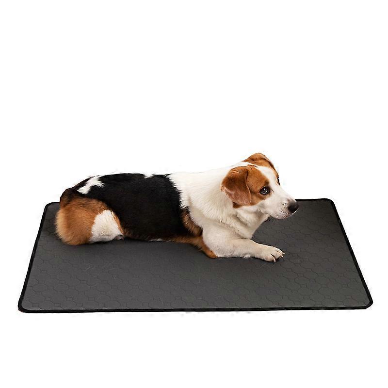 INF Washable Training Pads for Dogs