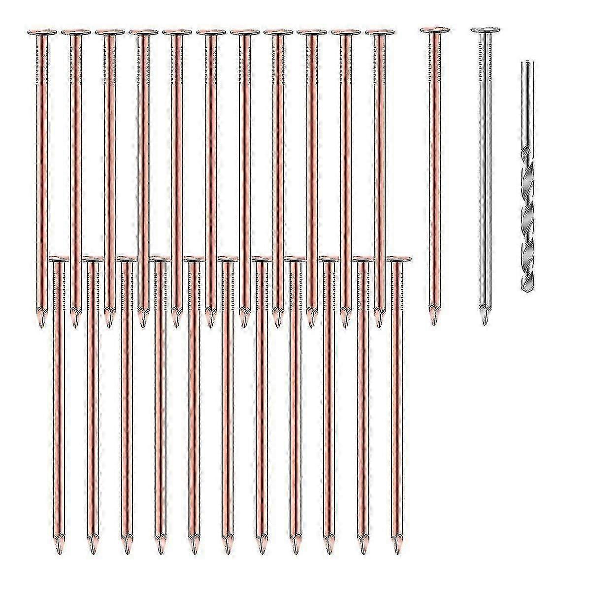 25 Pcs Copper Nails to Killing ,3.5 Inch Pure Copper Nails Bulk,Stump Removal Spikes Hardware Nails for