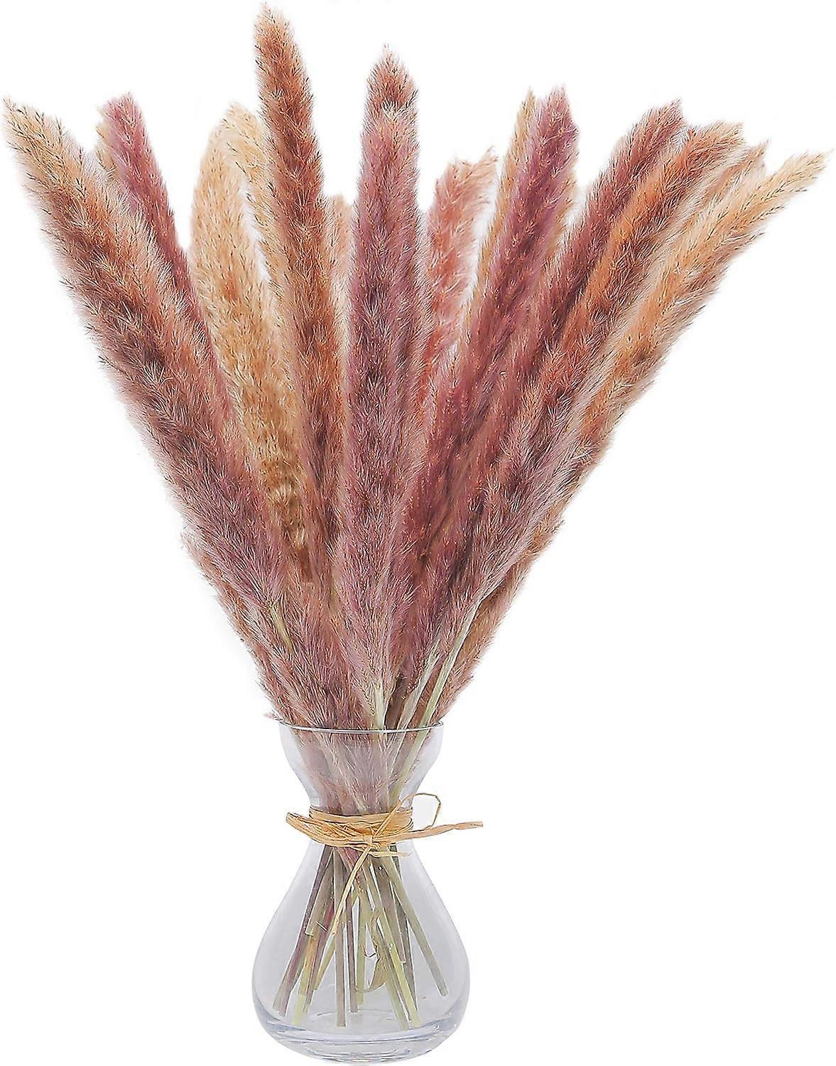Pampas Grass, Dried Flowers, Decoration Plants