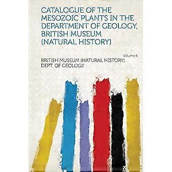 Katalog over de mesozoiske planter i Institut for Geologi, British Museum Bind 6