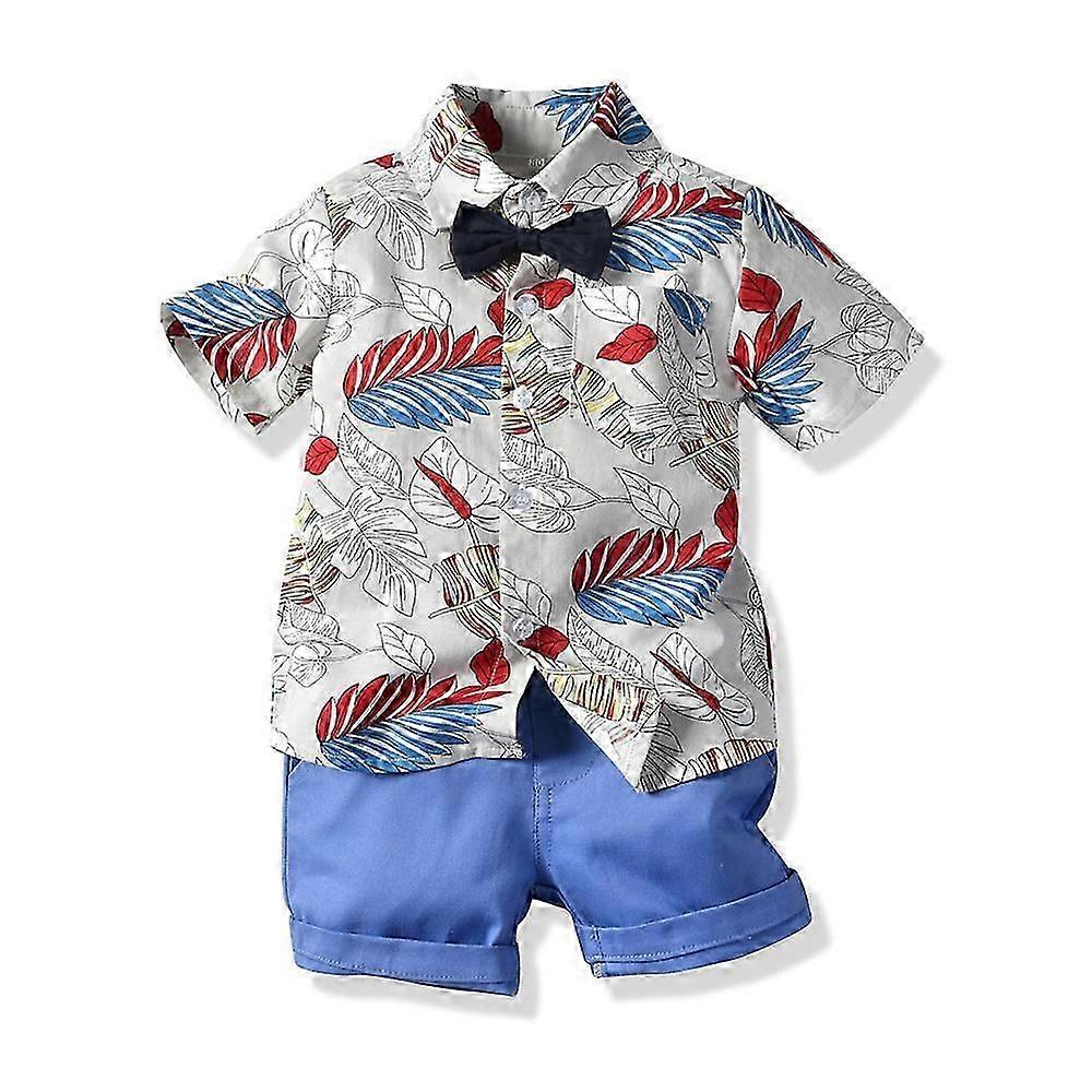 Children's Set Kids Clothing Multi-colour Summer Short Sleeved Cardigan Casual Shorts Multiple Sizes Available