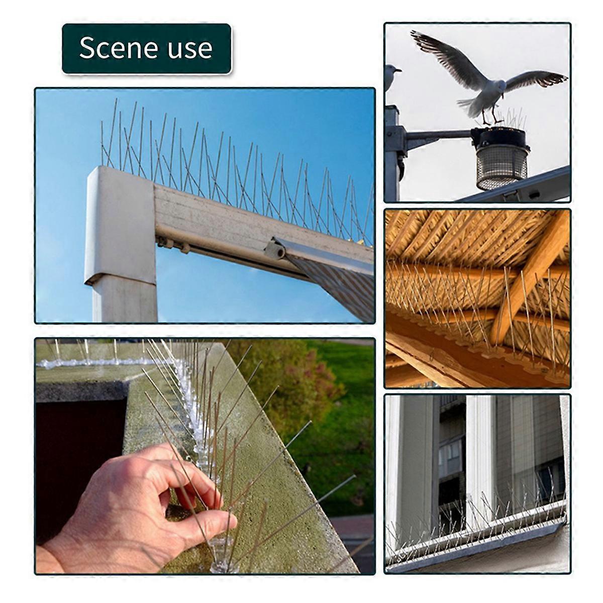For Pigeons Small Birds: Anti-Bird Nest Fence Spike